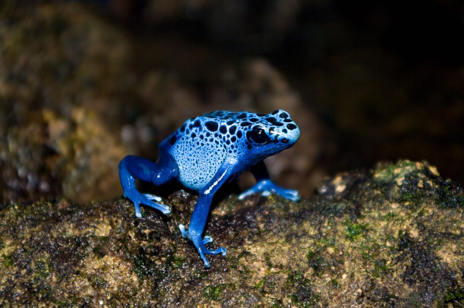 The Lake District Aquarium - Newby Bridge - Cumbria.com